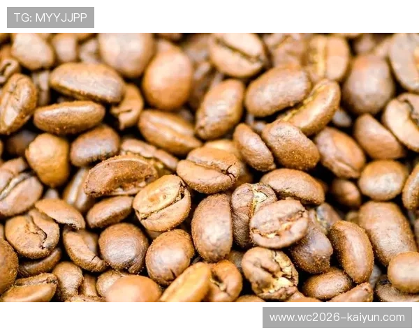 全球咖啡豆产地风味解析与品鉴指南全景图谱